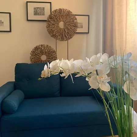 La Palme D'or アパート