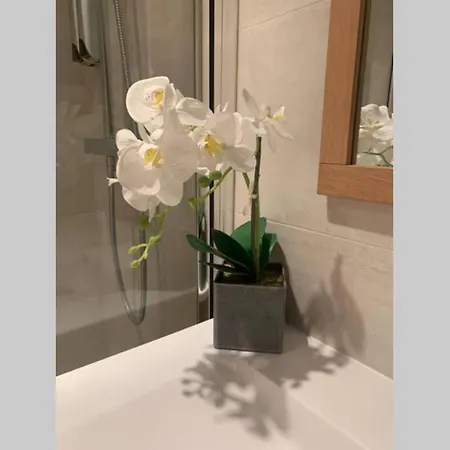 La Palme D'or アパート *